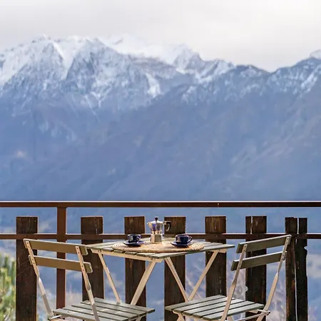 Under The Big Bench #223 Taceno