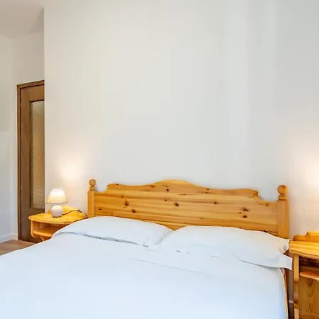 Under The Big Bench #223 Taceno